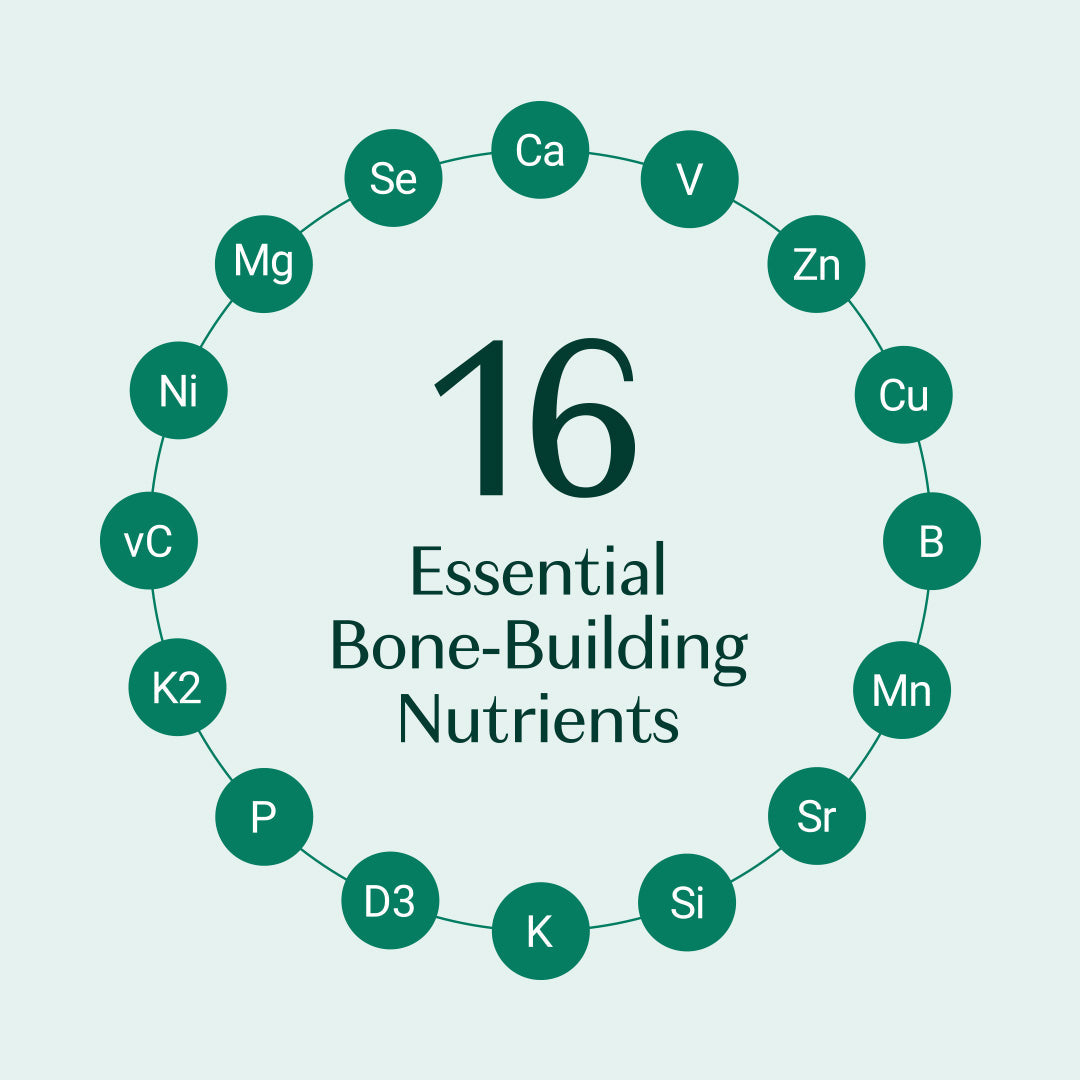 Bone Builder Pack My Store