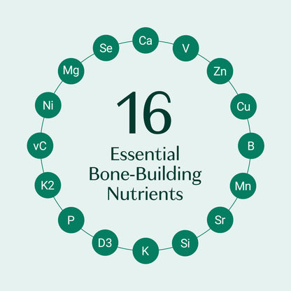 Bone Builder Pack My Store